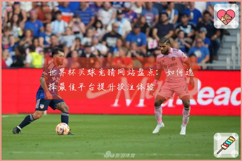 世界杯买球竞猜网站盘点：如何选择最佳平台提升投注体验