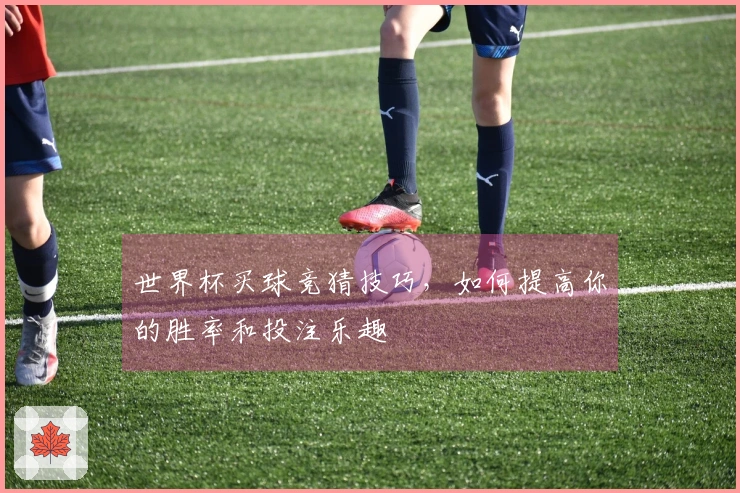 世界杯买球竞猜技巧，如何提高你的胜率和投注乐趣
