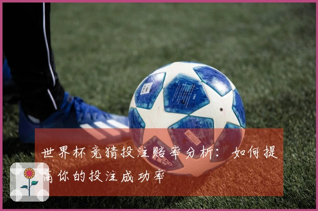 世界杯竞猜投注赔率分析：如何提高你的投注成功率