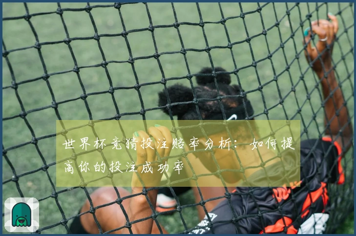 世界杯竞猜投注赔率分析：如何提高你的投注成功率