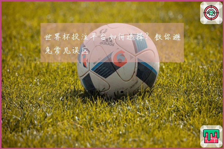 世界杯投注平台如何选择？教你避免常见误区